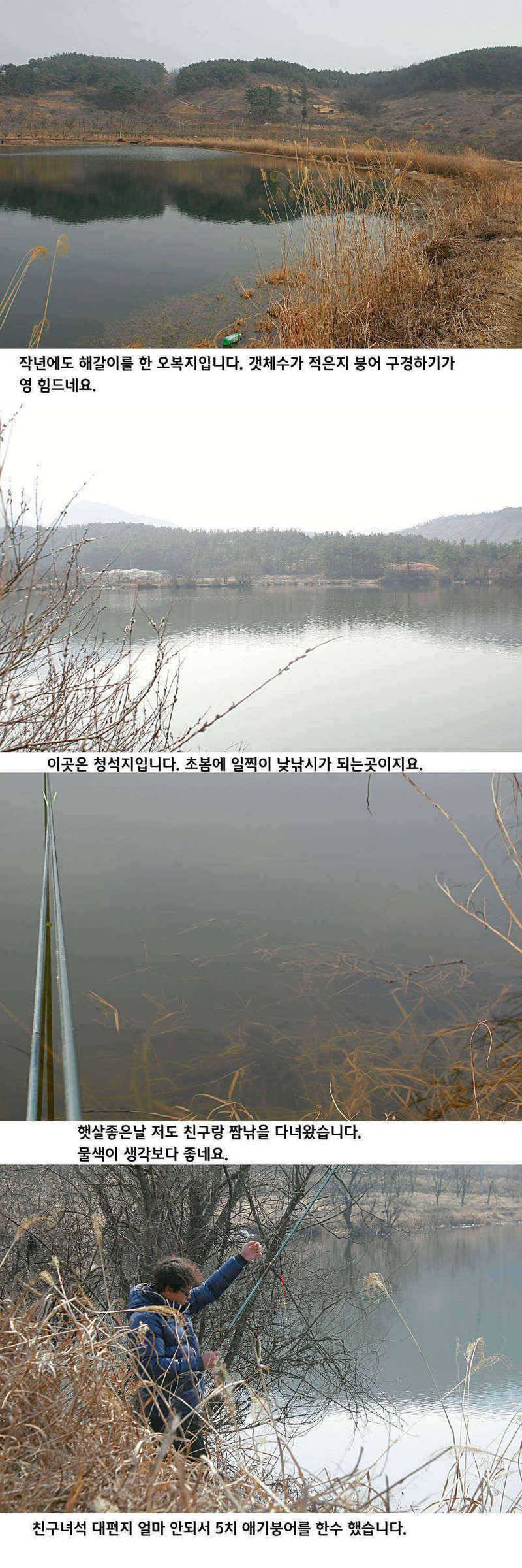 청도권 물낚시 시즌 오픈 (조황조행기 - 특파원조황)
