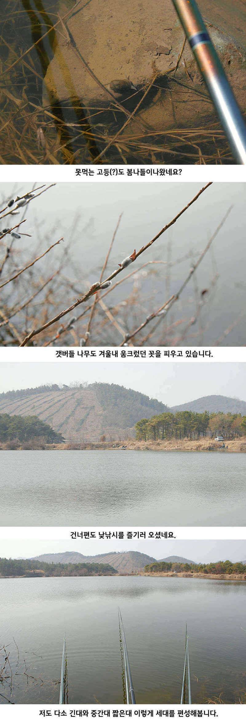 청도권 물낚시 시즌 오픈 (조황조행기 - 특파원조황)