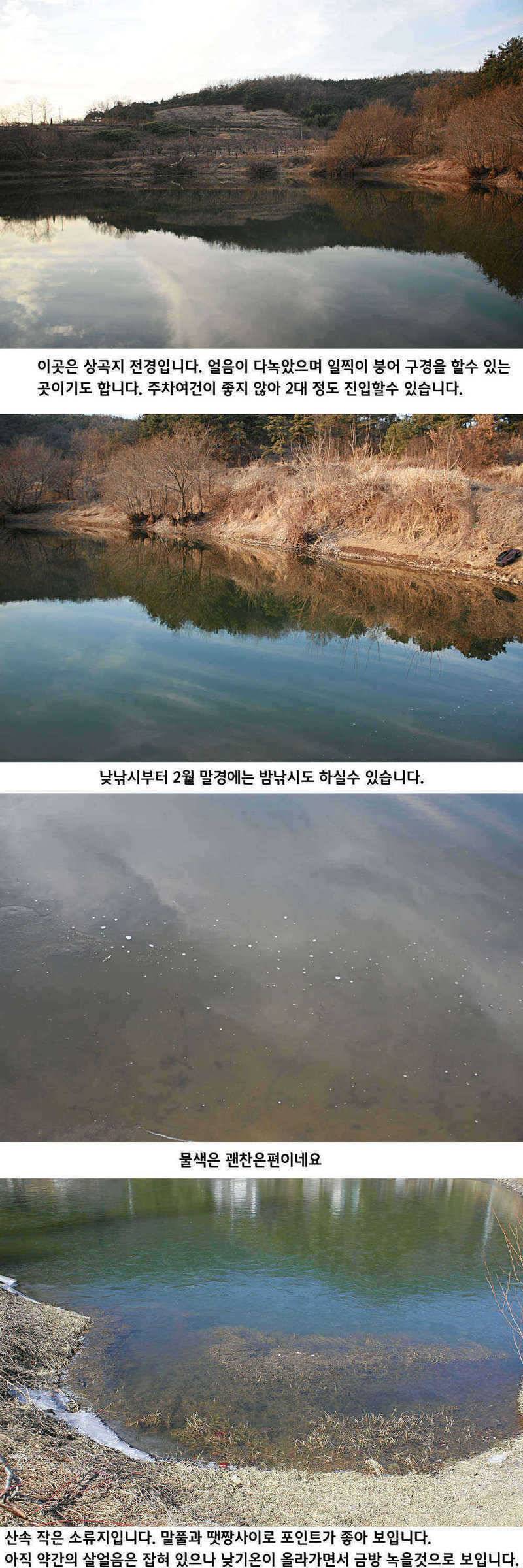 청도권 물낚시 시즌 오픈 (조황조행기 - 특파원조황)