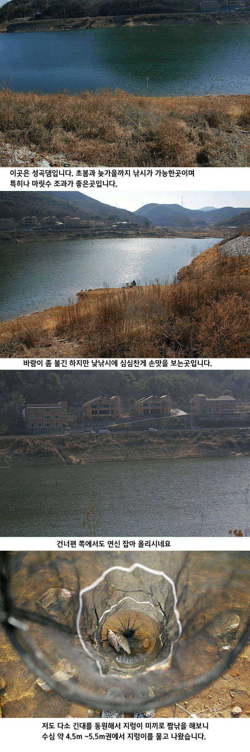청도권 물낚시 시즌 오픈 (조황조행기 - 특파원조황)