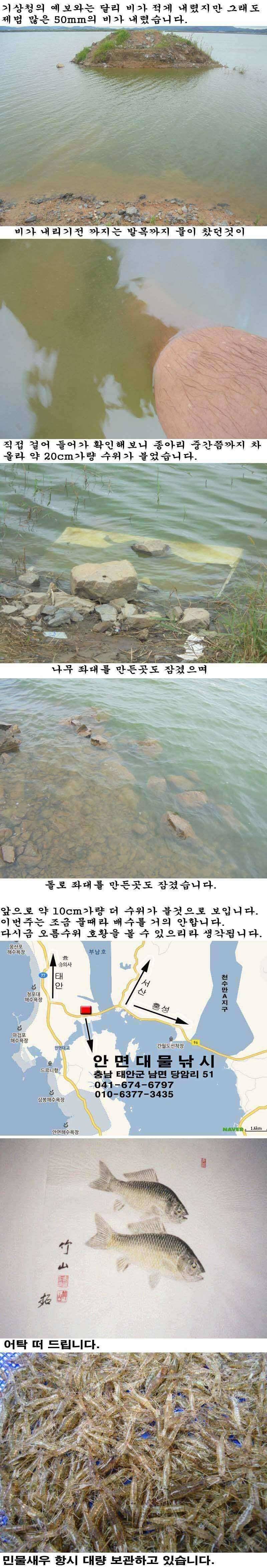 93 부남호 또한번의 오름수위 찬스 (조황조행기 - 특파원조황)