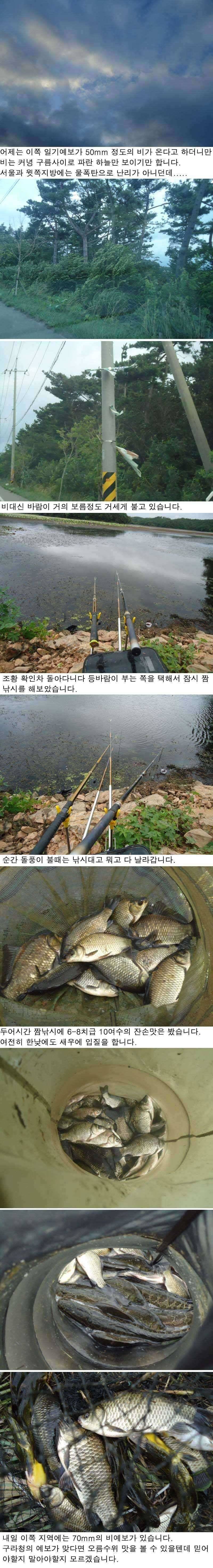 716 안면도권 저수지 강풍속의 조황 (조황조행기 - 특파원조황)