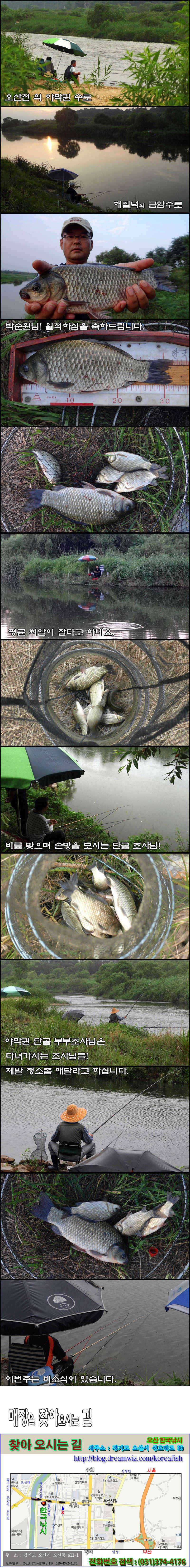 오산천 “휴가에서 돌아온 월척붕어들” (조황조행기 - 특파원조황)