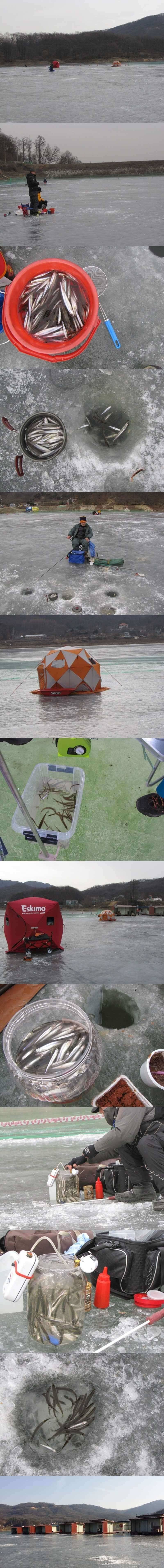 두창지 빙질 좋습니다빙어 (조황조행기 - 특파원조황)