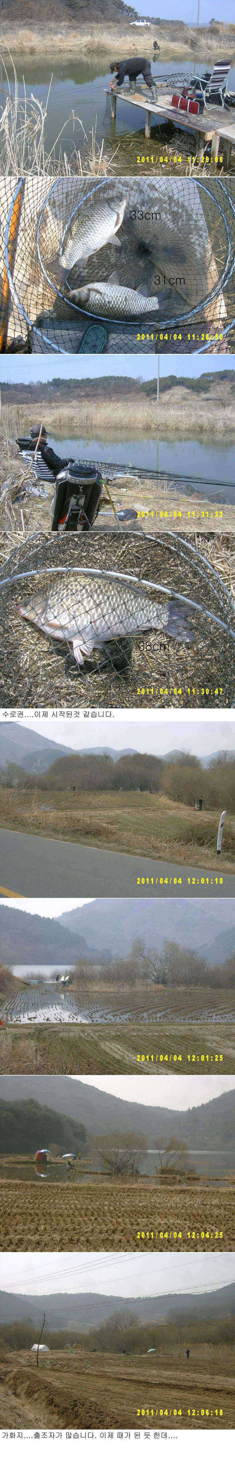 저수지 및 수로 조황 (조황조행기 - 특파원조황)