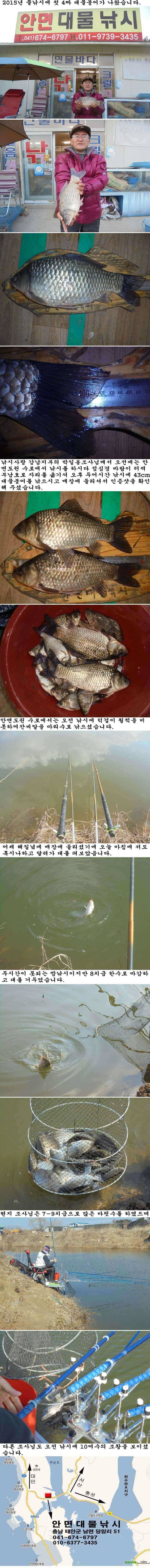 224 부남호 43cm 대물붕어 조황 (조황조행기 - 특파원조황)