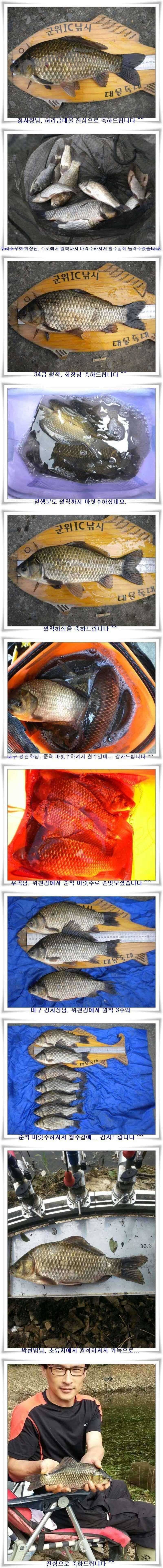 한발앞선 초대박조황 (조황조행기 - 특파원조황)