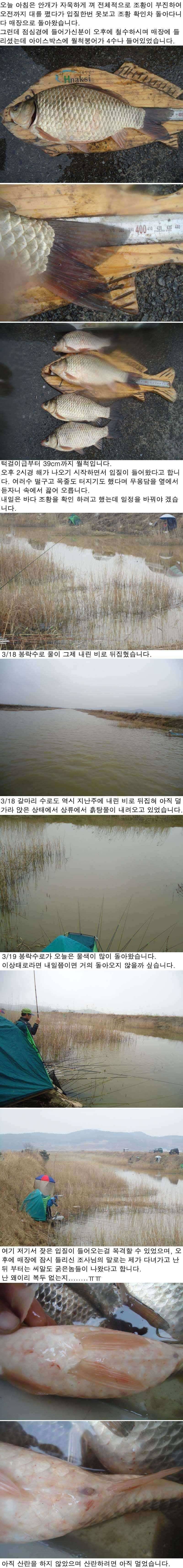 319 부남호 주중 조황 (조황조행기 - 특파원조황)