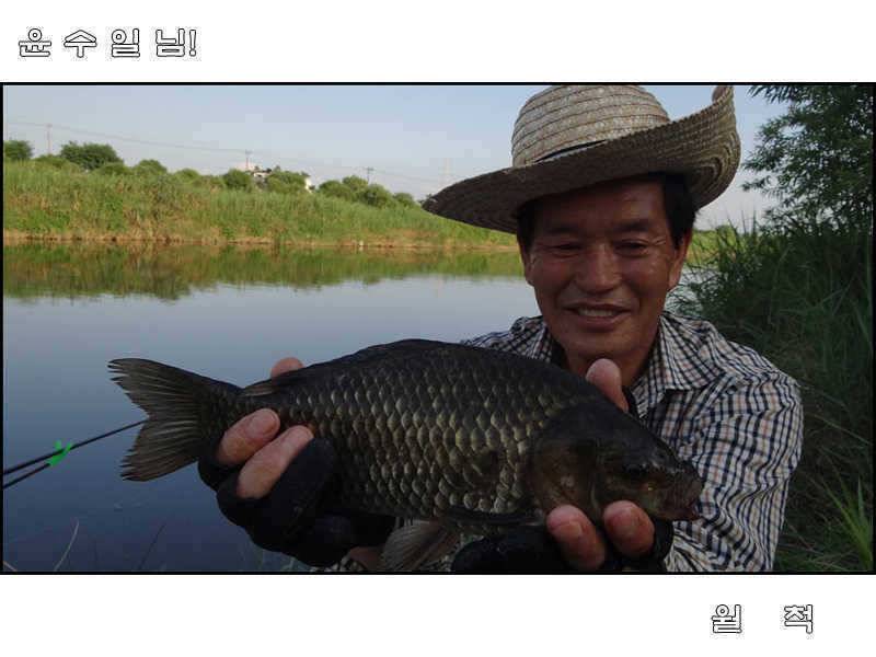 불볕더위에 큰넘들은 휴가를 떠났는지 (조황조행기 - 특파원조황)