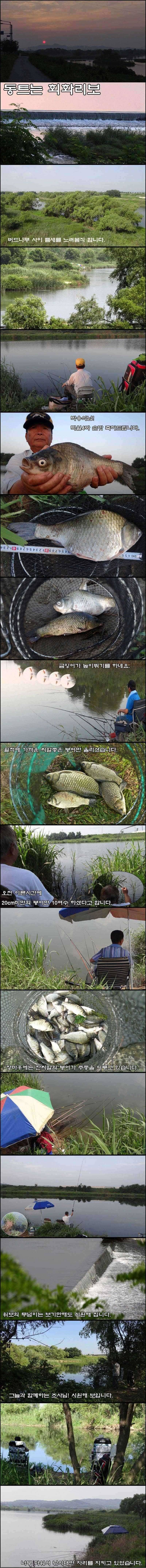 불볕더위에 큰넘들은 휴가를 떠났는지 (조황조행기 - 특파원조황)