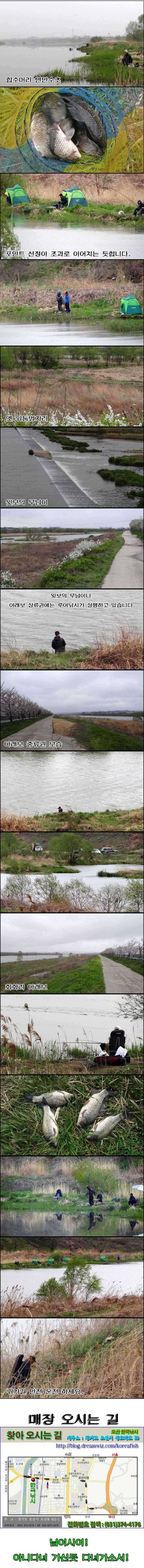 회화리보부분적인 산란과 준월척 (조황조행기 - 특파원조황)