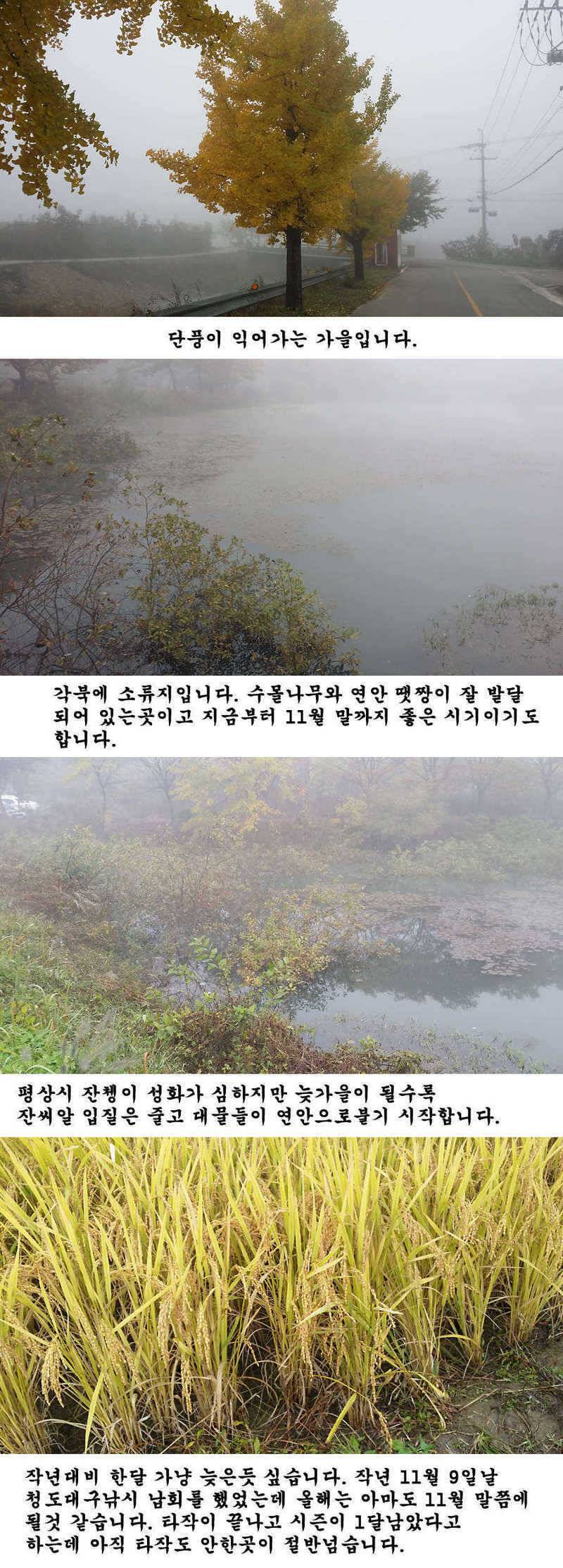 청도권 지난주 조황입니다 (조황조행기 - 특파원조황)