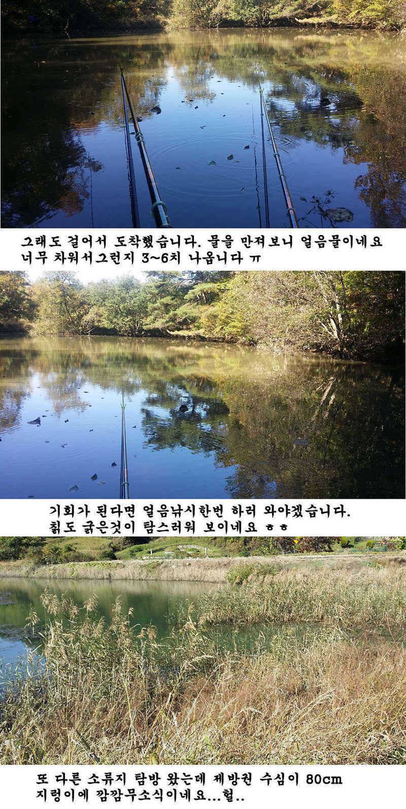 청도권 지난주 조황입니다 (조황조행기 - 특파원조황)