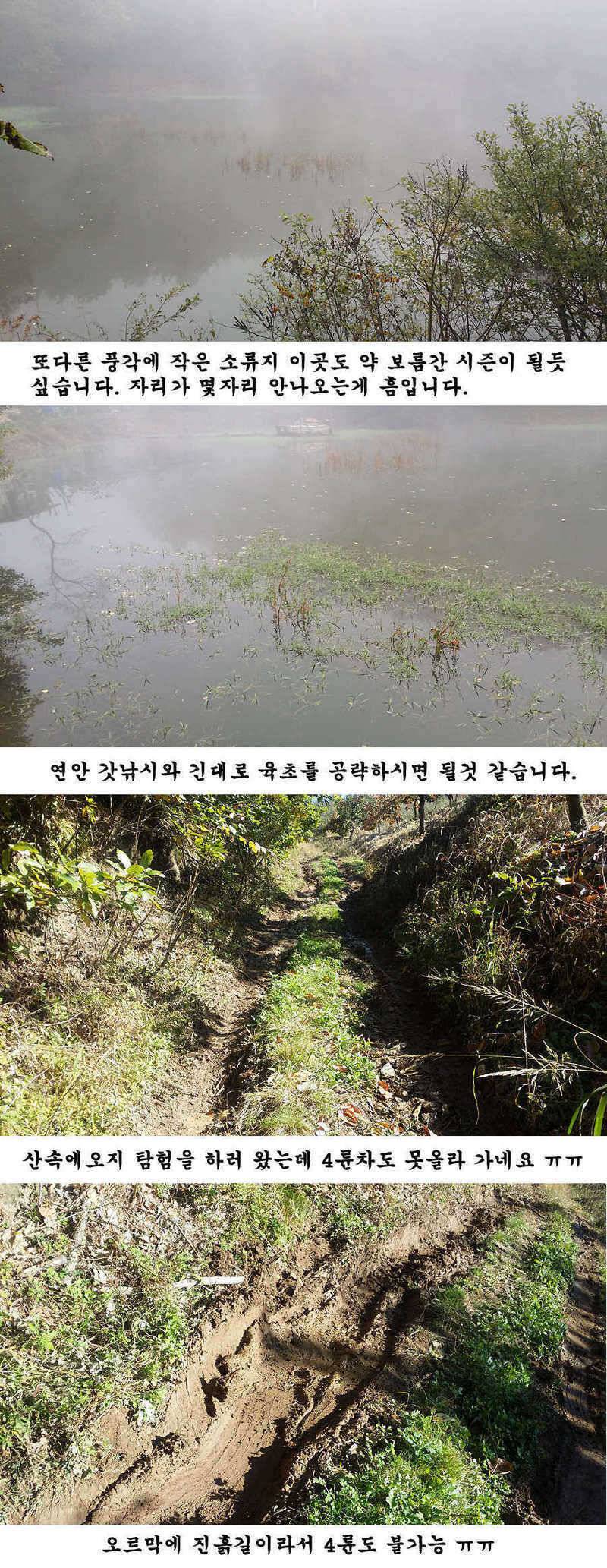청도권 지난주 조황입니다 (조황조행기 - 특파원조황)