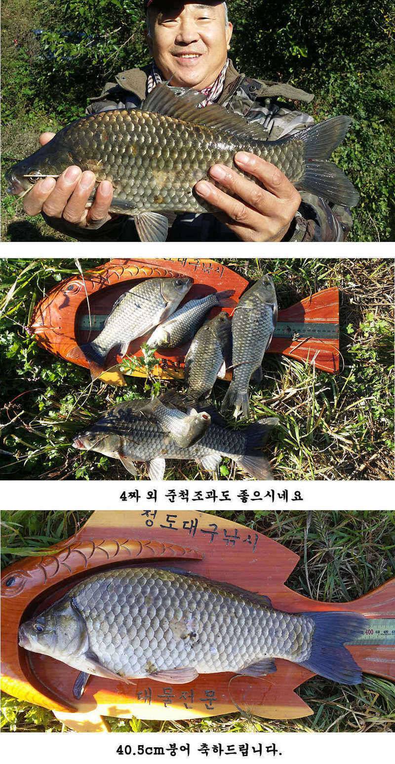 청도권 지난주 조황입니다 (조황조행기 - 특파원조황)