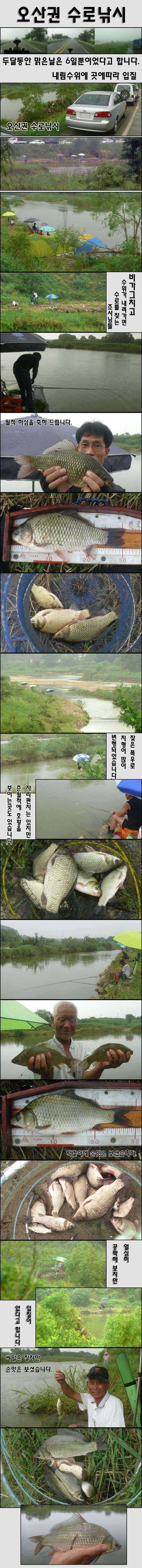 오산천진위천 수로붕어들의 소망주중 조황 (조황조행기 - 특파원조황)