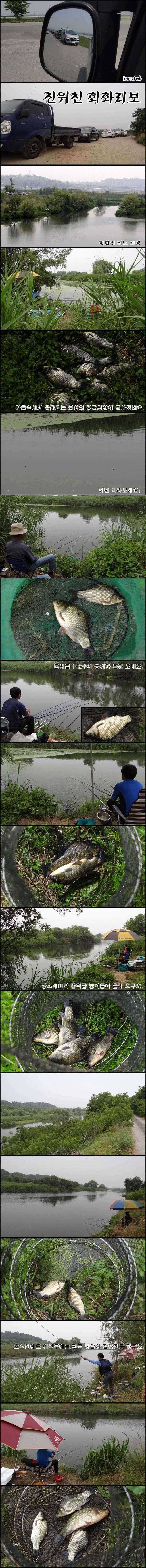 가뭄 속에서도 붕어는 계속 (조황조행기 - 특파원조황)