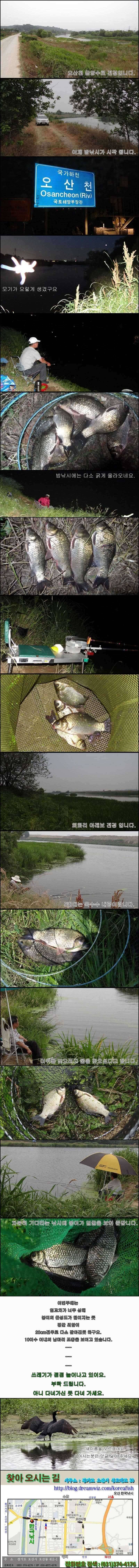 가뭄 속에서도 붕어는 계속 (조황조행기 - 특파원조황)