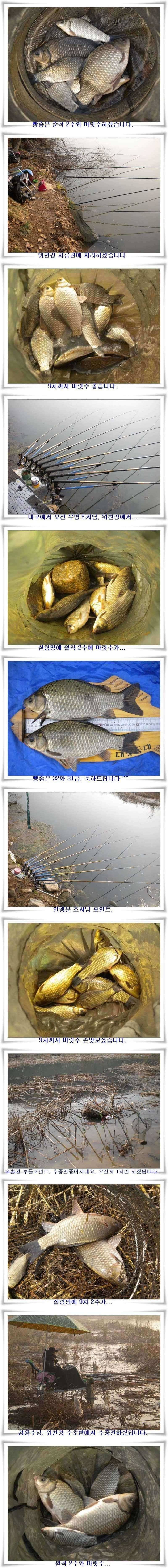 떼월척을 만나다 (조황조행기 - 특파원조황)