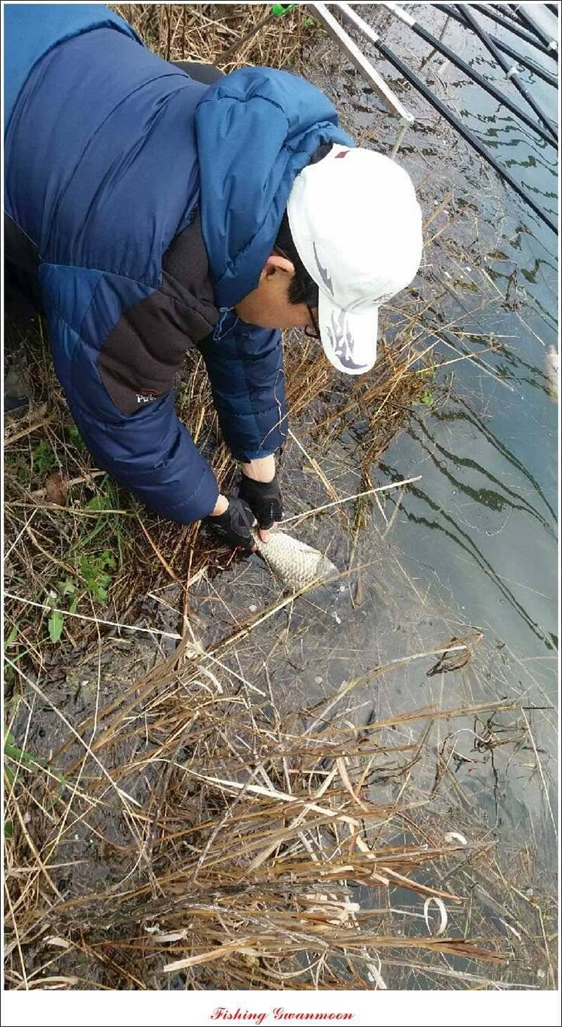 화곡지 사짜칠성지 사짜추평지 사짜 (조황조행기 - 특파원조황)