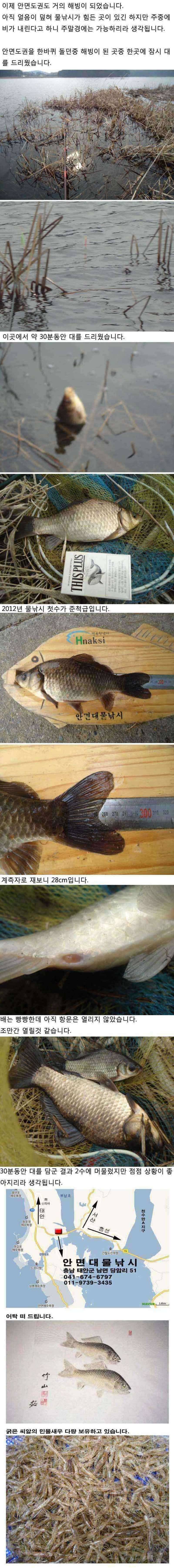 221 안면도권 저수지 및 수로 물낚시 시즌 개막 (조황조행기 - 특파원조황)