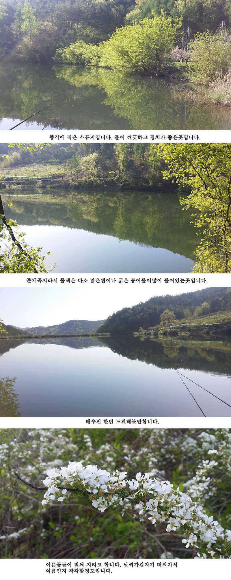 청도권 빵빵 터집니다 (조황조행기 - 특파원조황)