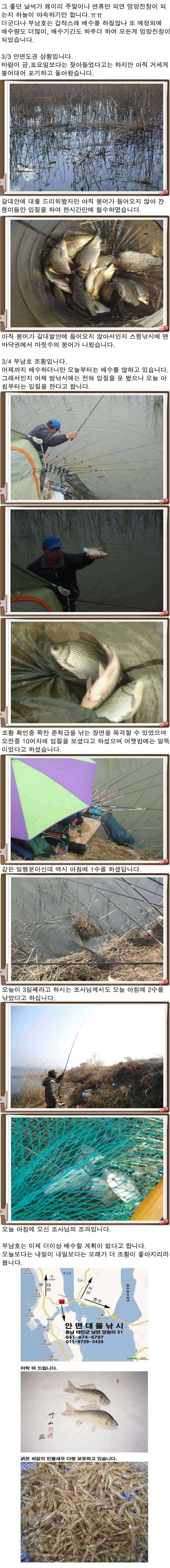 334 안면도권 저수지 및 수로 부남호 조황 (조황조행기 - 특파원조황)