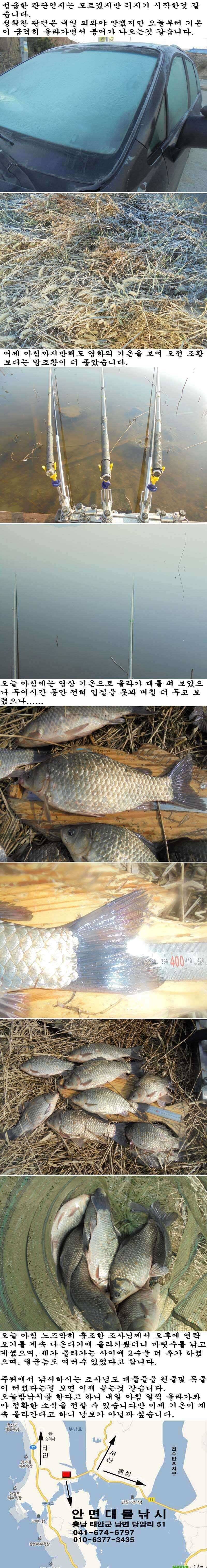 329 부남호 터진것 같 (조황조행기 - 특파원조황)