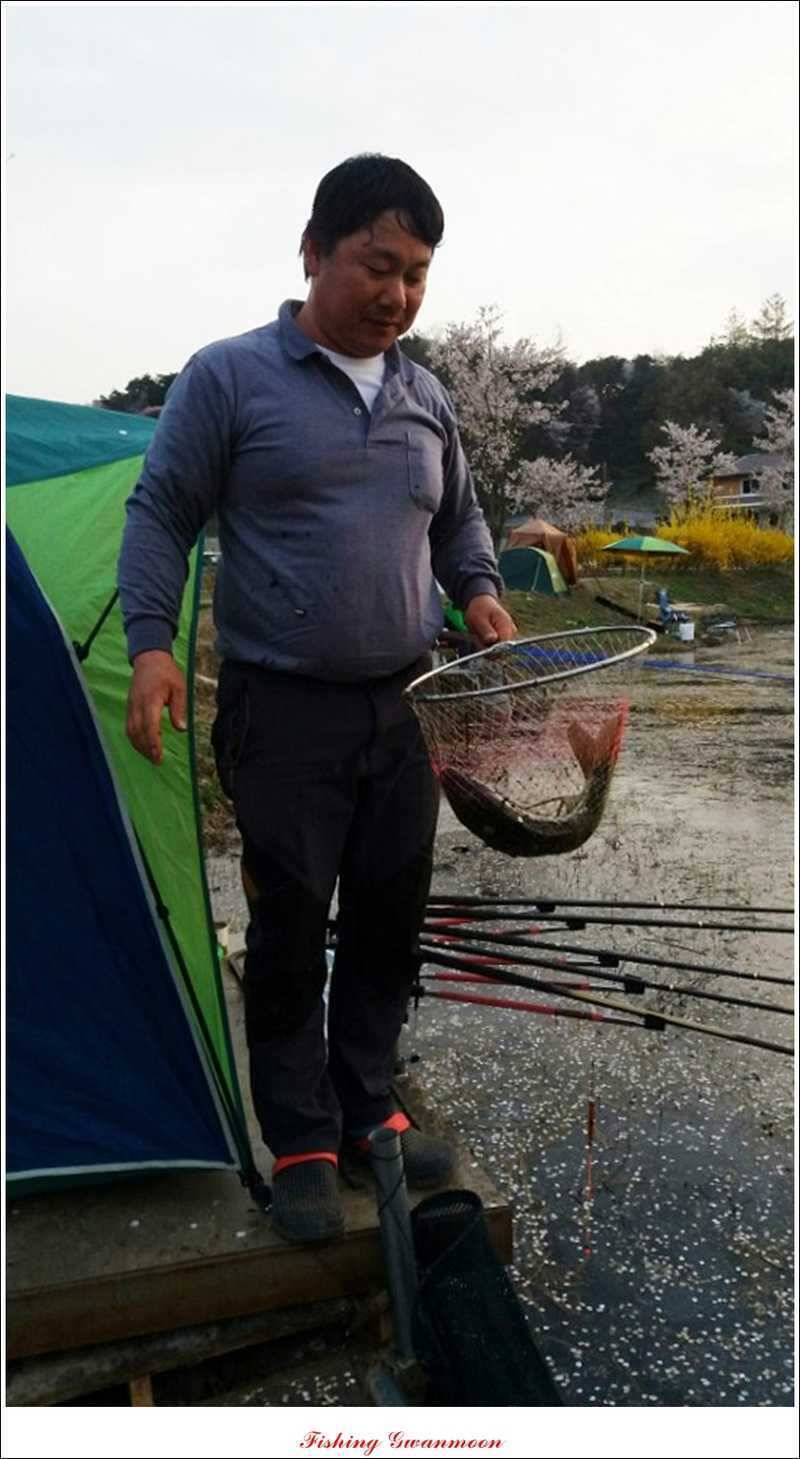 화곡지 사짜칠성지 사짜추평지 사짜 (조황조행기 - 특파원조황)