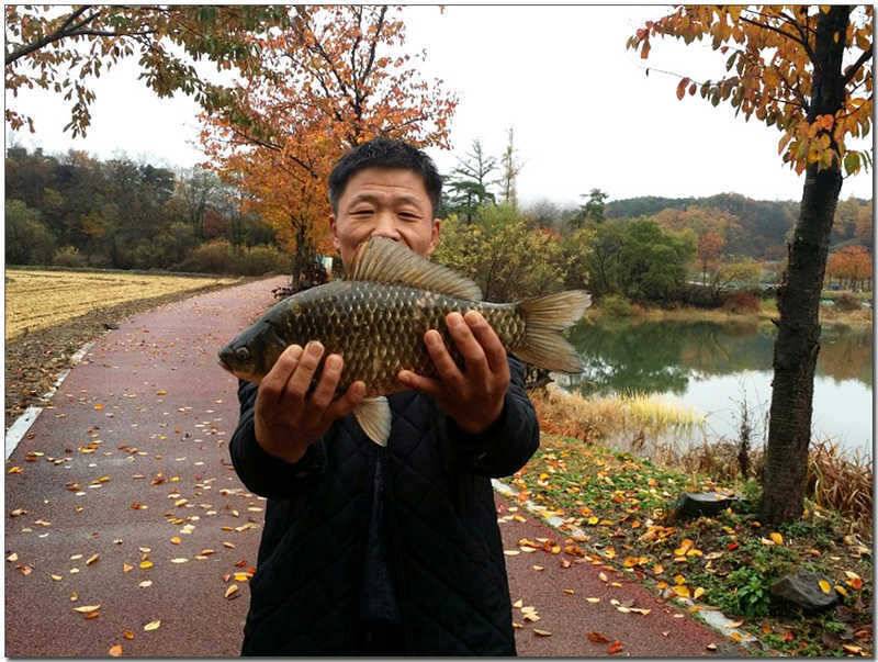칠성지 사짜요도천 조황 (조황조행기 - 특파원조황)