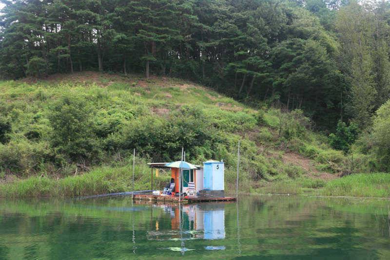 충주호 조황 (조황조행기 - 특파원조황)