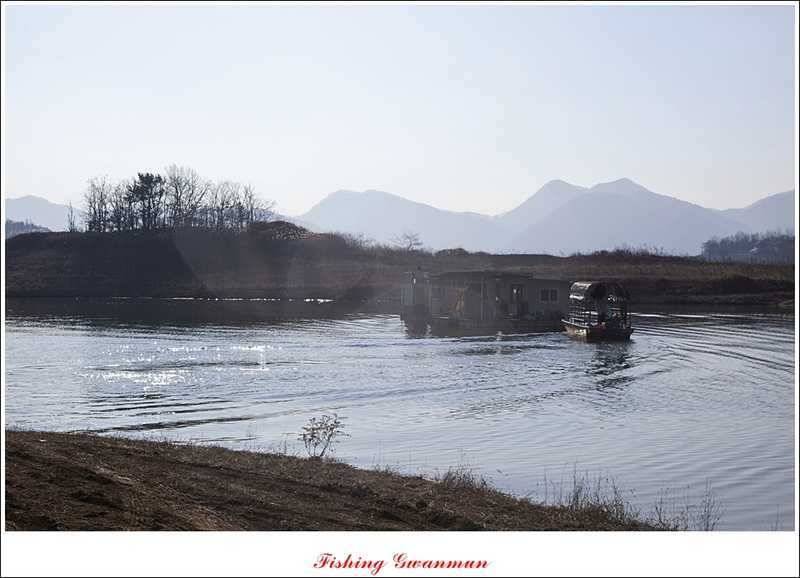 한버들 월척마릿수 조황 (조황조행기 - 특파원조황)