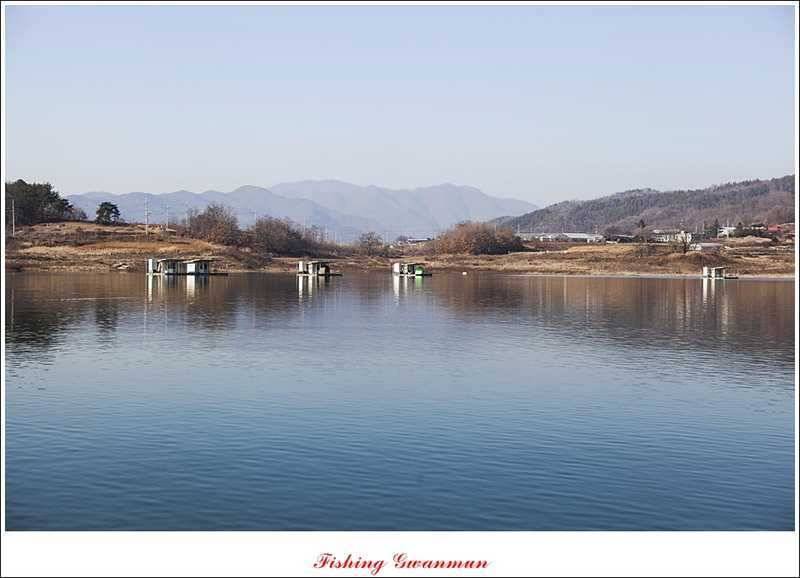 한버들 월척마릿수 조황 (조황조행기 - 특파원조황)