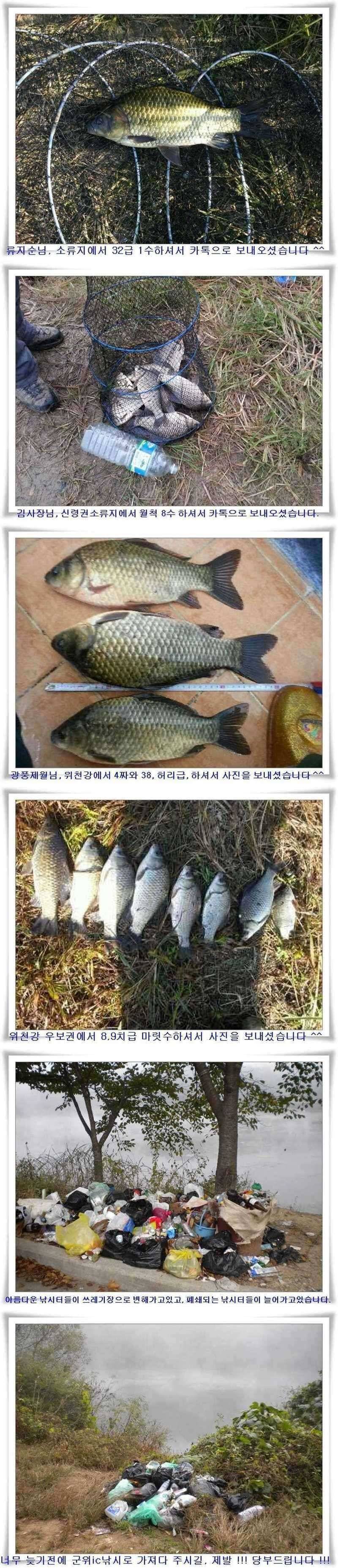 첫추위찬스4짜38대물 (조황조행기 - 특파원조황)