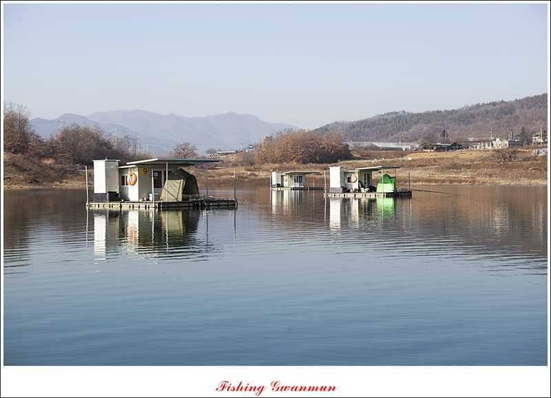 한버들 월척마릿수 조황 (조황조행기 - 특파원조황)