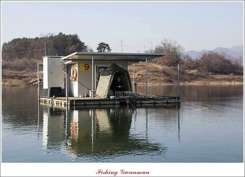한버들 월척마릿수 조황 (조황조행기 - 특파원조황)