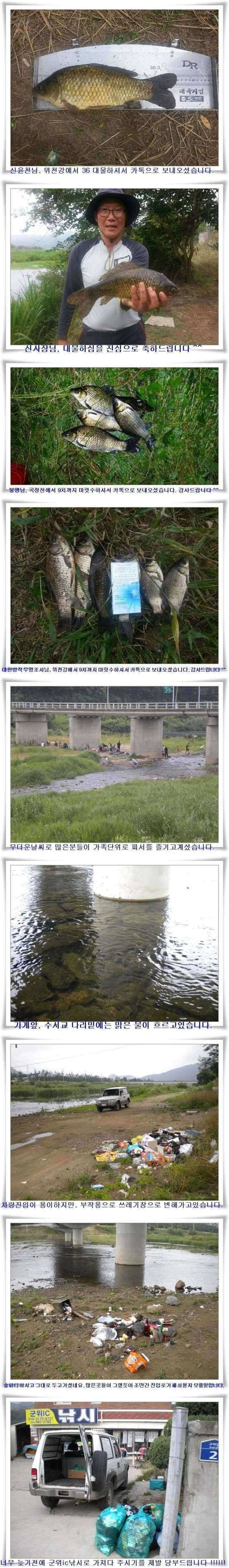 소류지 상황과 위천강 조황 (조황조행기 - 특파원조황)