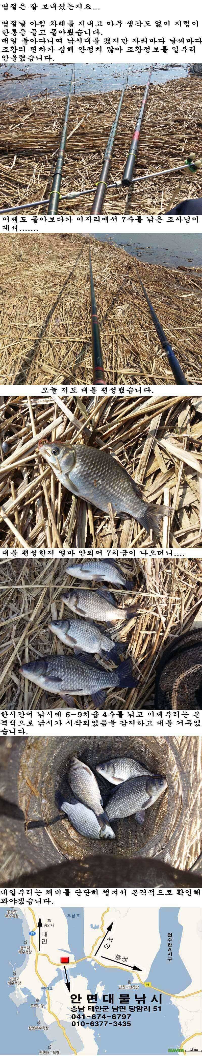 219 구정 첫날 부남호 시작 종소리와 함께 (조황조행기 - 특파원조황)