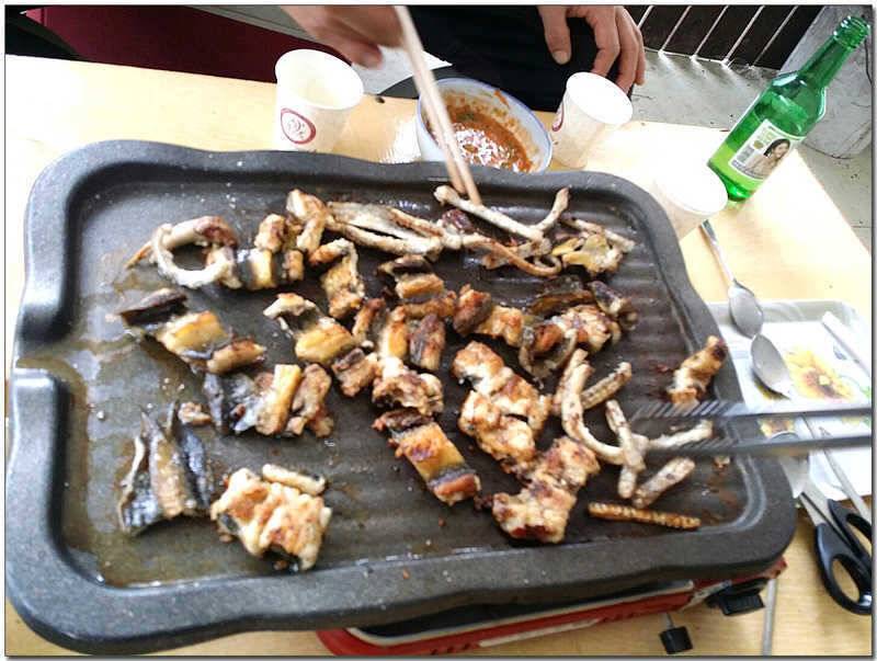 늘푸른 13 kg 대물장어칠성지 사짜 (조황조행기 - 특파원조황)
