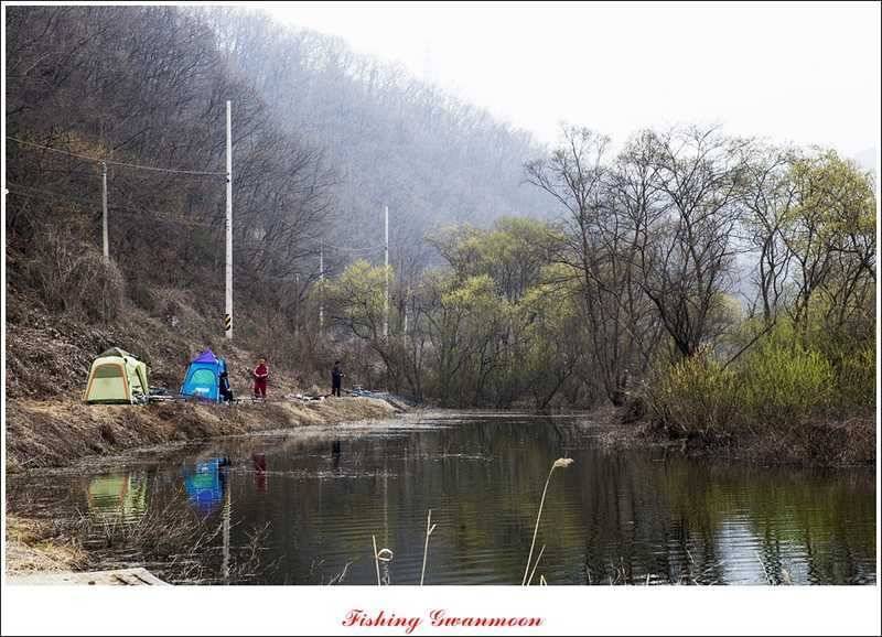 달천강 호조황화곡지칠성지 소식 (조황조행기 - 특파원조황)