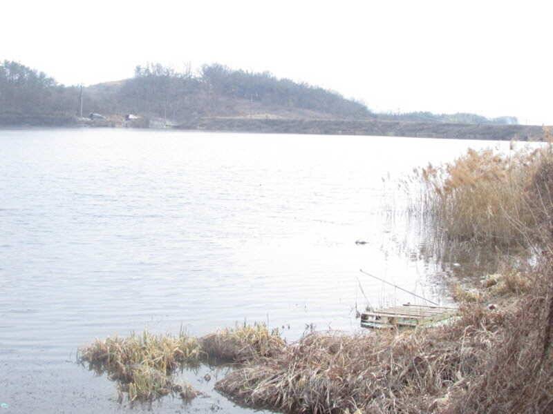pro_johwang_07dc4_101339_30529.jpg