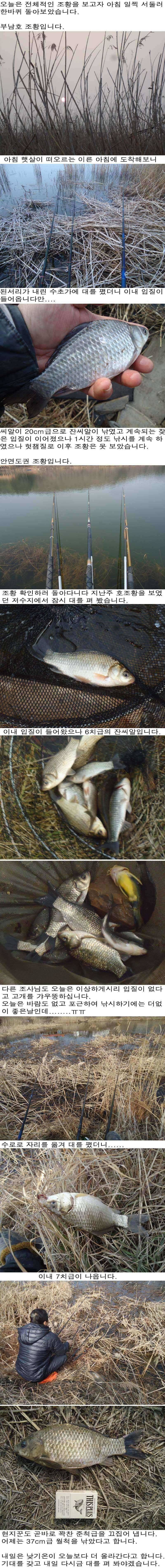 225 부남호 및 안면도권 저수지 수로 조황 (조황조행기 - 특파원조황)