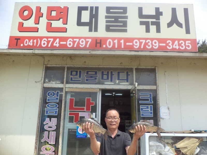 73 부남호 주말 조황 (조황조행기 - 특파원조황)