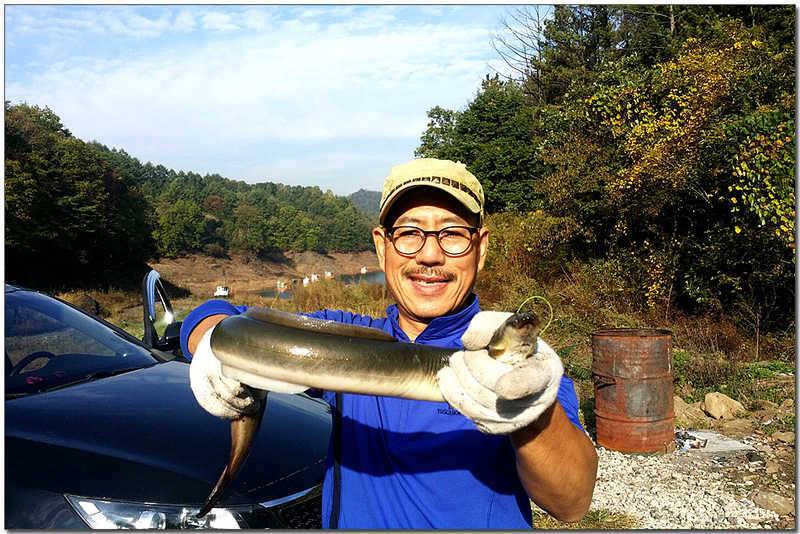 늘푸른 장어달천강 월척 (조황조행기 - 특파원조황)