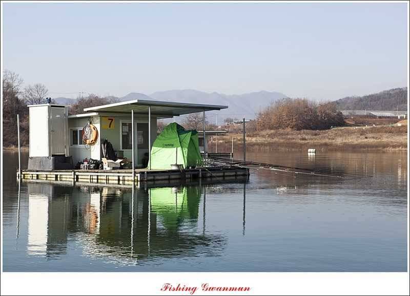 한버들 월척마릿수 조황 (조황조행기 - 특파원조황)