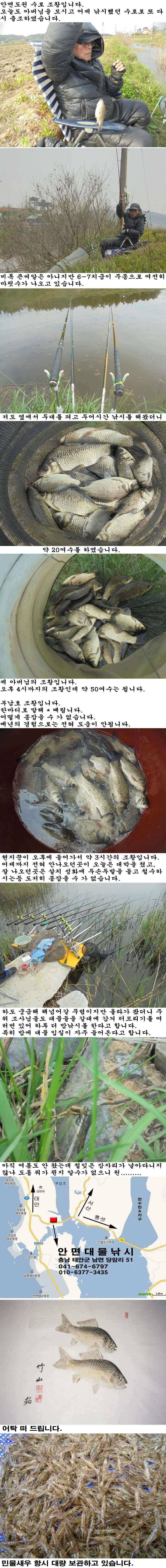 428 안면도권 및 부남호 도통 갈피를 잡을수 없는 황당한 조황 (조황조행기 - 특파원조황)