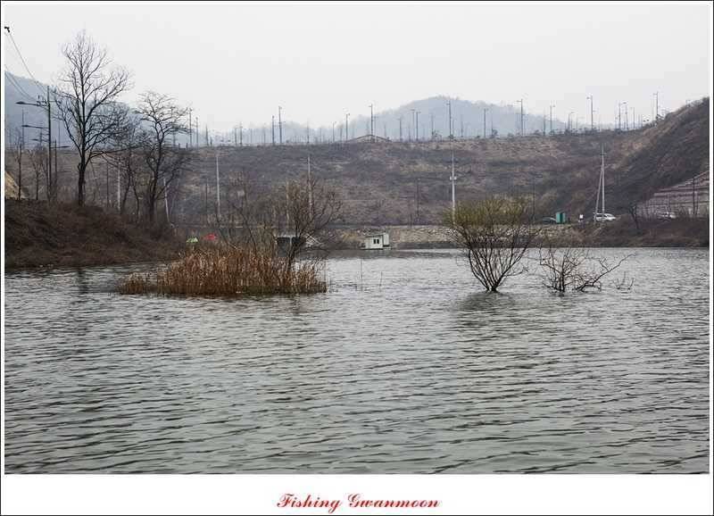 달천강 호조황화곡지칠성지 소식 (조황조행기 - 특파원조황)