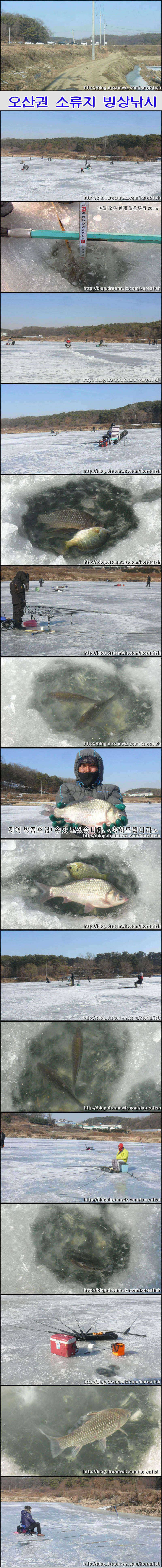 오산권 중소류지 얼음낚시 (조황조행기 - 특파원조황)