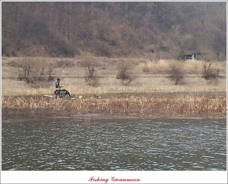 칠성지 사짜화곡지매전지 월척 조황 (조황조행기 - 특파원조황)