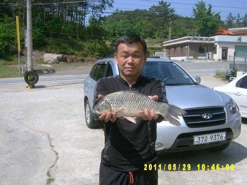 조과사진 (조황조행기 - 특파원조황)
